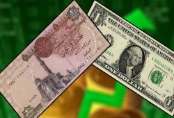 تعويم جديد مرتقب... "السيسي" يهاجم الصندوق في الإعلام ويطبق شروطه على الأرض