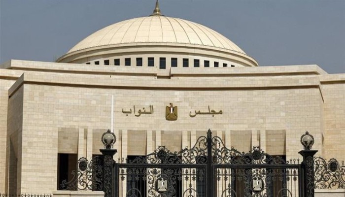 بالفيديو|| مزاد المقاعد النيابية يتحاوز الـ50 مليون جنيه ... شهادة من عضو بحزب حماة مصر!!