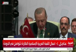 أردوغان في القمة: المطلوب مقاطعة وضغط عربي لوقف الإبادة في غزة