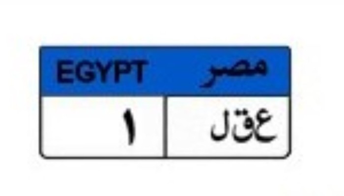 تفاهة مزاد «عقل1»: لوحة مرور تصل إلى مليون جنيه في بلدٍ يبحث فيه الفقراء عن رغيف بـ 20 قرشًا