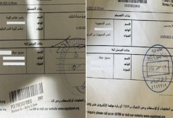 المجلس الثوري: أسطول الصمود المصري اختبار صعب لـ"السيسي" ذراع إسرائيل