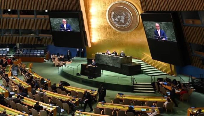 مؤتمر نيويورك لحل الدولتين: دعوات دولية لوقف الاستيطان وإنهاء الحرب في غزة