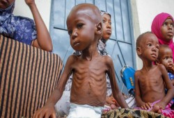 المجاعة تحاصر السودانيين بتمويل إماراتي... أرقام صادمة
