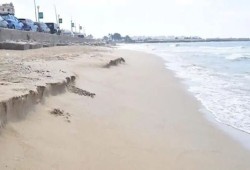 شاهد|| انحسار البحر في الإسكندرية يثير المخاوف من تسونامي قادم