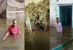 شاهد|| غرق أراضي ومنازل بالمنوفية بسبب فيضان النيل بعد فتح بوابات سد النهضة