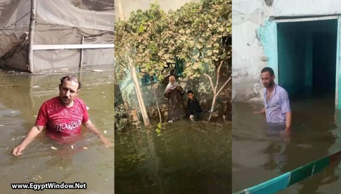 شاهد|| غرق أراضي ومنازل بالمنوفية بسبب فيضان النيل بعد فتح بوابات سد النهضة