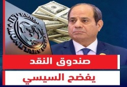 انتقادات صندوق النقد تكشف فشل السيسي الاقتصادي.. غياب الرؤية وتفاقم أزمات المصريين