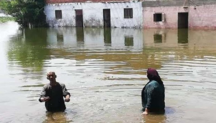 محافظ المنوفية: غرق 1200 فدان و70 منزلاً بسبب فيضان النيل