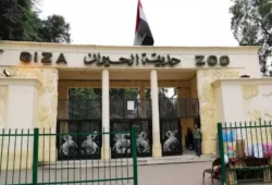 حديقة الحيوان بين وعود التطوير وتصدير الفشل.. لماذا تستعين حكومة السيسي بشركة جنوب أفريقية؟