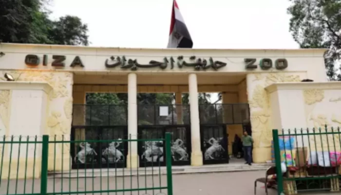 حديقة الحيوان بين وعود التطوير وتصدير الفشل.. لماذا تستعين حكومة السيسي بشركة جنوب أفريقية؟