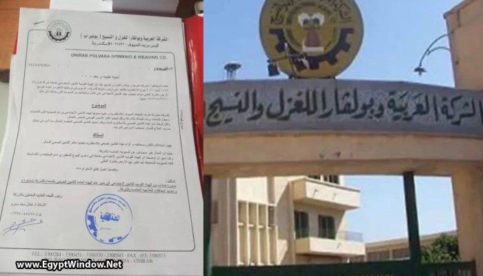 حرمان 1200 عامل بالغزل والنسيج بالإسكندرية من العلاج بينهم مرضى أورام