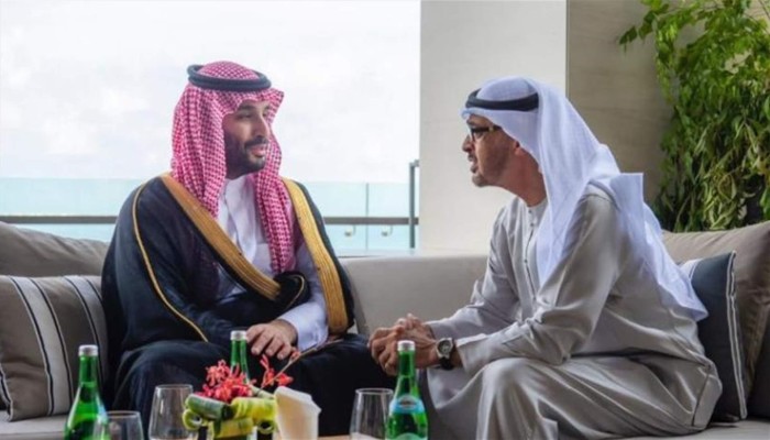 الأسباب الخفية لغياب ولي العهد السعودي ورئيس الإمارات عن قمة شرم الشيخ