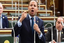"مقعد أبي وجدي": كيف تحوّل مجلس النواب في ظل حكم العسكر إلى "مجلس عائلات"؟