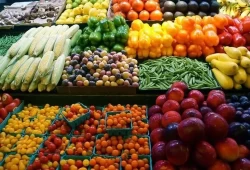 كيف يعيش المصريون في ظل تدني الأجور وارتفاع الأسعار؟