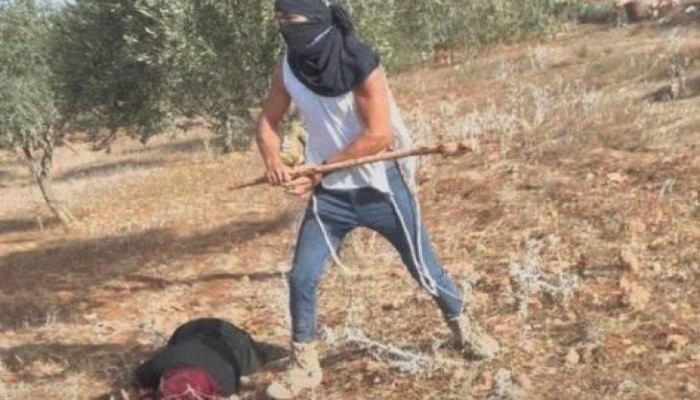 شاهد|| مستوطن إسرائيلي يعتدي بوحشية على مسنّة فلسطينية برام الله