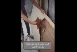 فيديو يكشف طرق الغش في تجارة الأخشاب وغياب الرقابة الحكومية