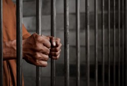 المحامي نبيه الجنادي يكشف ظهور الشاب الاسكندراني طلال عبد الله محمد حمودي أمام النيابة ويطلب تواصل أهله