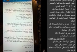 شاهد || أنس حبيب يكشف فضيحة حشد المصريين بالخارج لتأييد السيسي في بروكسل وإهدار أموال المصريين