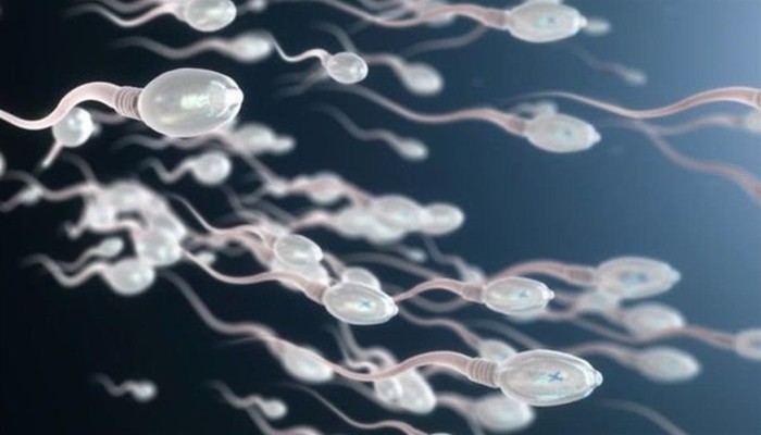 ناقوس خطر.. متى تبدأ الحيوانات المنوية في نقل الأمراض إلى الأطفال؟