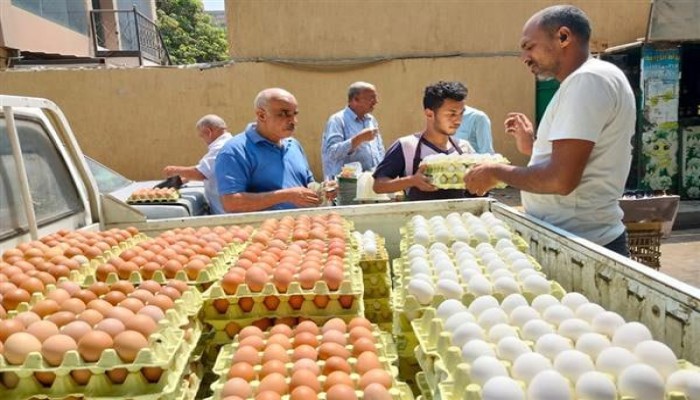 من "30 مليون بيضة" إلى مليون فقط.. فشل جديد لمشروع السيسي وسط غلاء ينهش الفقراء