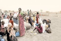 حملات التدوين كسلاح مقاومة: كسر التعتيم على جرائم الجنجويد في الفاشر