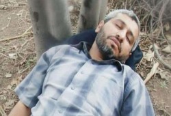 شاهد|| صورة للقائد القسامي محمد الضيف نائما على شجرة تذكر بعدل عمر بن الخطاب