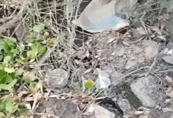 أهالي قرية الكشح بسوهاج يشكون من عدم وصول المياه لأراضيهم