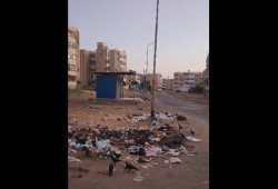 بالفيديو | سرقة صناديق القمامة تُغرق شوارع السويس في النفايات وسط غضب من الأهالي