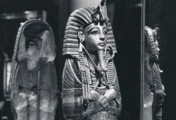 وصايا الفراعنة الضائعة: نداء عمار علي حسن لإحياء دستور الحكم الصالح