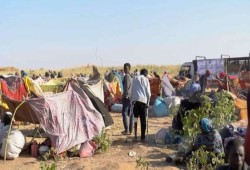 الأوضاع الإنسانية بعد سيطرة قوات الدعم السريع على الفاشر.. المدنيون بين الجوع والموت والاختطاف