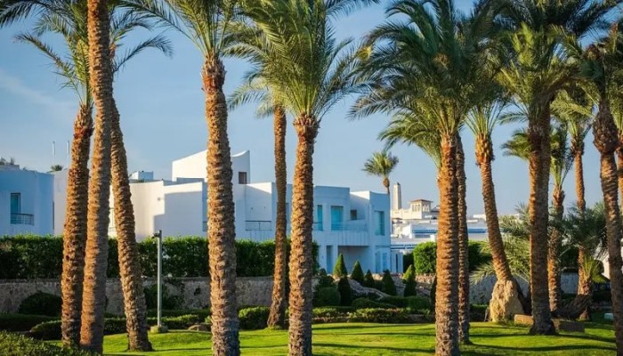 بيع على المكشوف... 3 صناديق خليجية تستحوذ على عقارات مصرية  بـ80 مليار جنيه