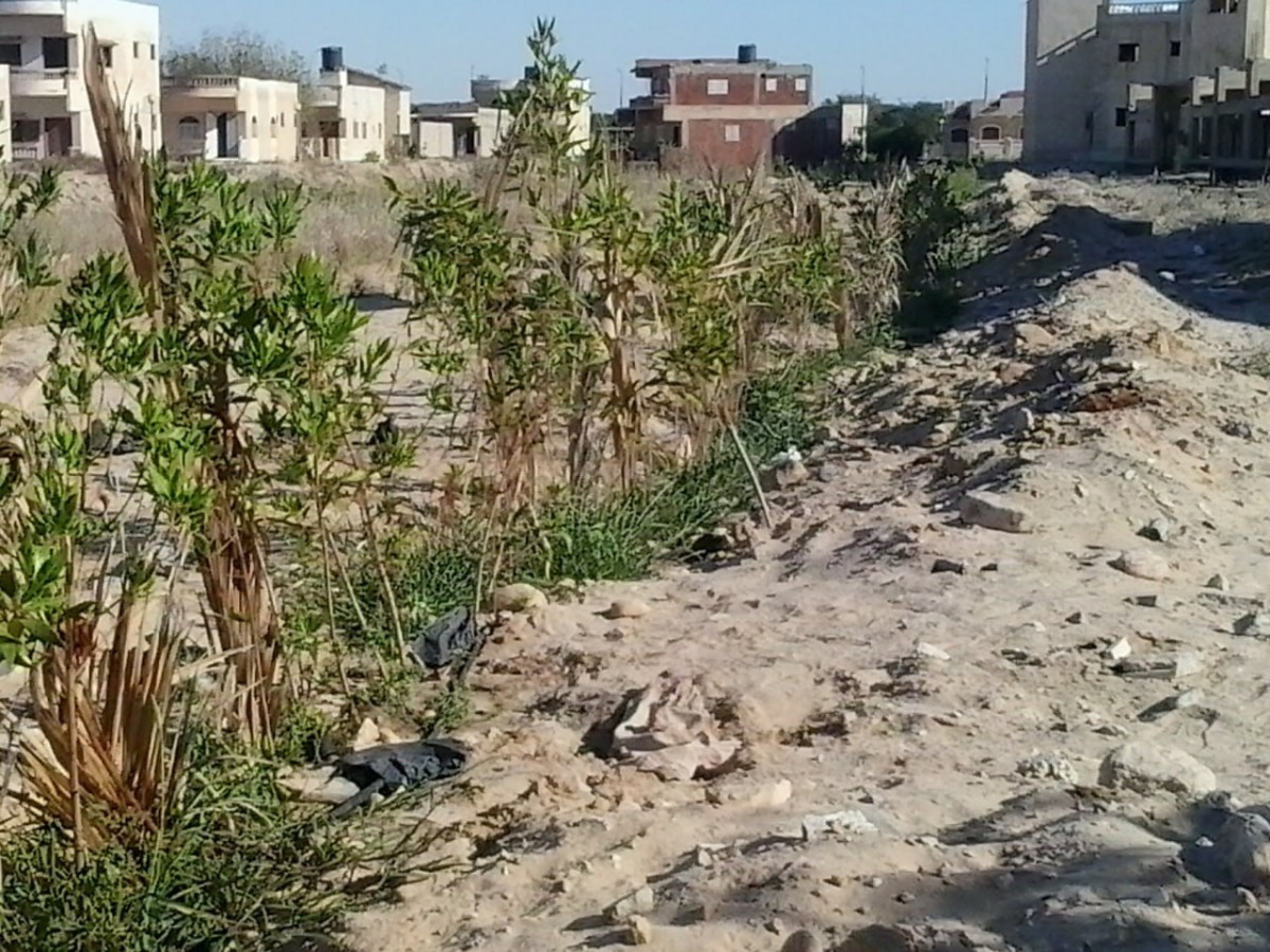 الجيش يهدم قرية ابن سينا 2 بالساحل الشمالي.. والمواطنون يستغيثون من "جهاز مستقبل مصر"