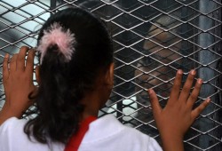 المجلس القومي لحقوق الإنسان في مصر يحتفل بالاعتماد الدولي رغم القيود على زيارات السجون