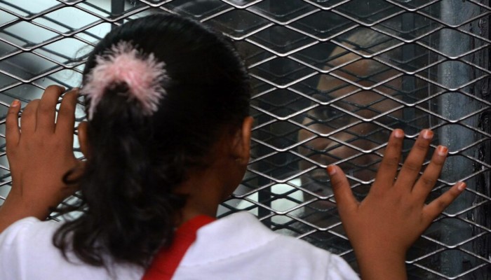 المجلس القومي لحقوق الإنسان في مصر يحتفل بالاعتماد الدولي رغم القيود على زيارات السجون