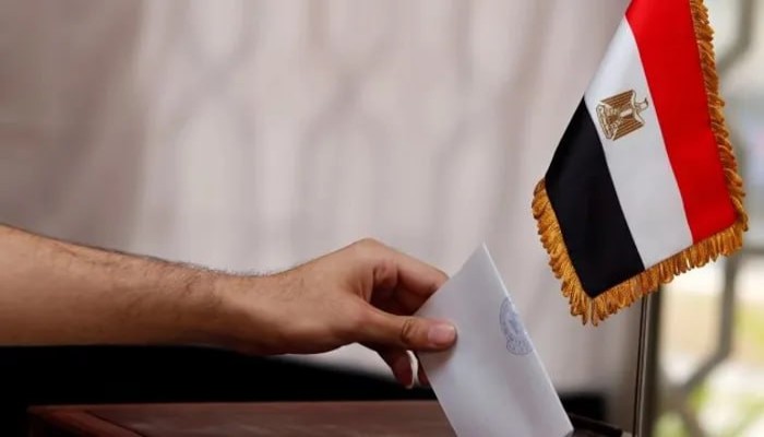 انتخابات النواب في الخارج: استمرار النفوذ القديم وتكريس الولاء للنظام