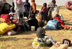 الأمم المتحدة: الفاشر مدينة يغمرها الحزن والمدنيون يعيشون فظائع على نطاق لا يمكن تصوره