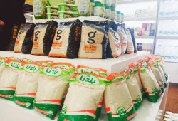 "أسعار السكر تكشف هشاشة الإدارة الحكومية للأسواق… وغياب الرقابة يفتح الباب لغضب شعبي متصاعد"