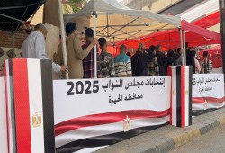 مع غلق باب التقديم.. الإدارية العليا تحسم مصير 250 طعنًا على انتخابات النواب