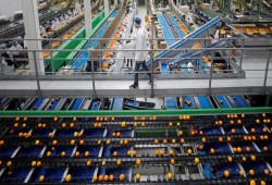 150 دولارًا شهريًا.. حكومة السيسي تبيع العمال المصريين كسلعة رخيصة للمستثمرين الأجانب