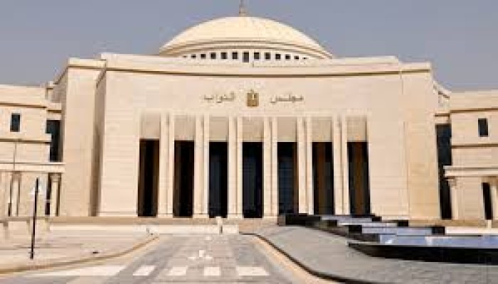 في برلمان السيسي.. لماذا أصبحت المعارضة مطلوبة الآن وبقوة أكثر من أي وقت مضى؟