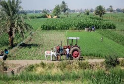 مخطط "تجريف" الريف.. ارتفاع إيجارات الأراضي الزراعية تخنق الفلاحين لصالح حيتان التصدير