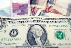 الدولار يقترب من 48 جنيهًا بعد ستة أيام من الانهيار المتواصل: حكومة فاشلة يدفع المواطن ثمن سياساتها الكارثية