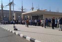 بالفيديو.. موظفو إنتاج الكهرباء ينضمون لاعتصام عمال السد العالي وأسوان 1 و2