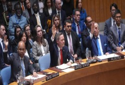 تشاتام هآوس|| ما هو قرار مجلس الأمن 2803؟ وما دلالاته على خطة ترامب لغزة؟