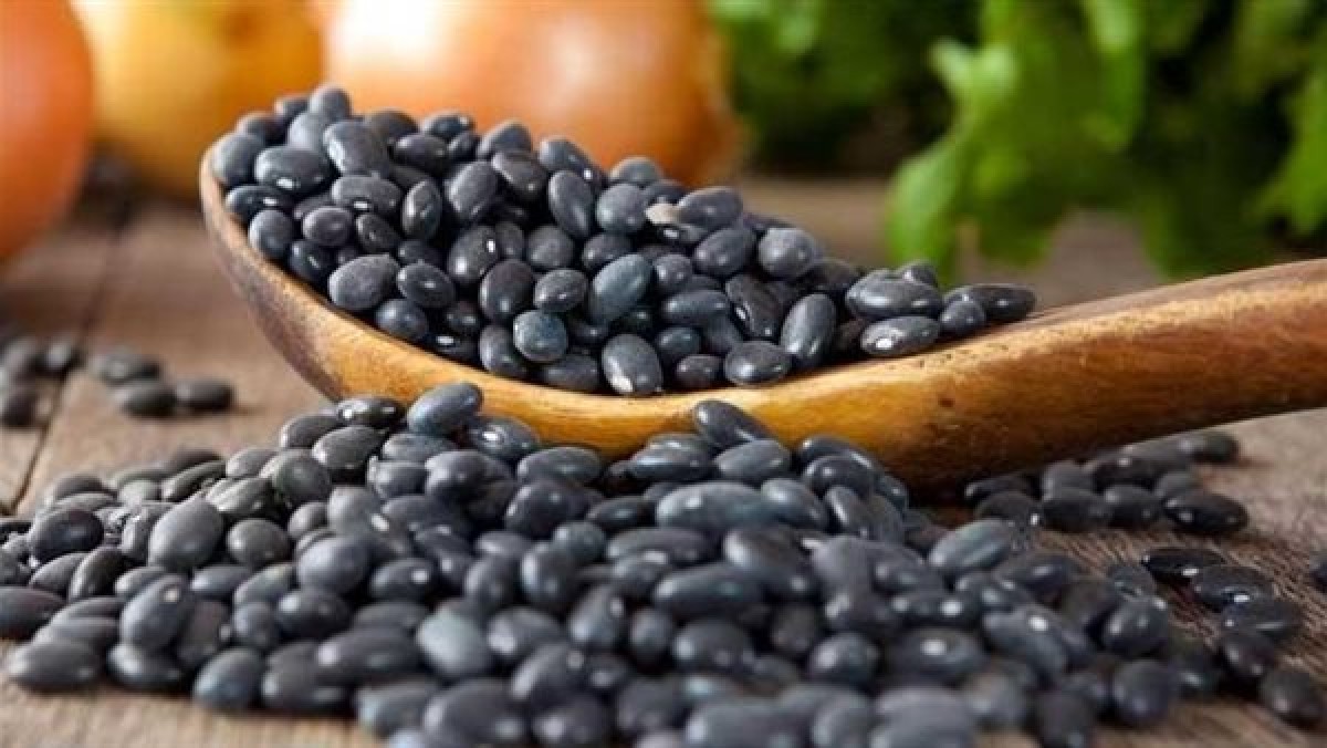 فوائد حبة البركة: تحارب الدهون وتخفض الكوليسترول