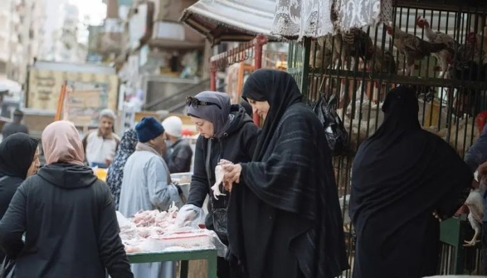 انهيار أسعار الدواجن يفضح فوضى الانقلاب: فراخ بـ52 جنيهاً وبيض يُباع بالخسارة… وسوق يُحرق تمهيدًا لسطوة الاستيراد