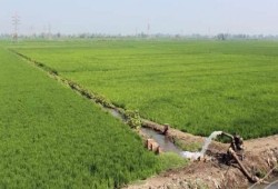 "الجباية" باسم الدين.. وزارة الأوقاف تشارك الفلاحين في "لقمة العيش" وترفع إيجارات الأراضي