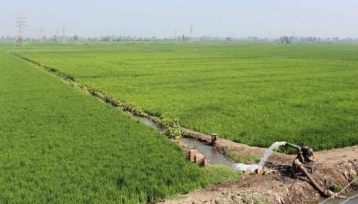 "الجباية" باسم الدين.. وزارة الأوقاف تشارك الفلاحين في "لقمة العيش" وترفع إيجارات الأراضي