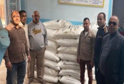 أسمدة الفلاحين للتصدير.. كيف تخنق الحكومة الزراعة وتسرق السماد بدعوى «ضبط المقررات»؟