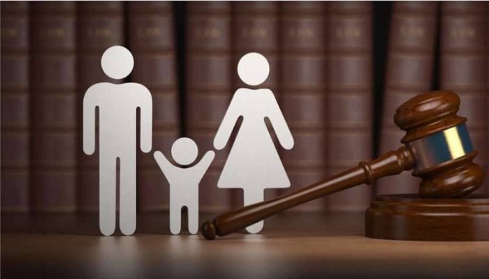 تقرير حقوقي يفضح استخدام قانون "حماية قيم الأسرة المصرية" كأداة لقمع الفقراء والنساء لا لحماية الأسرة